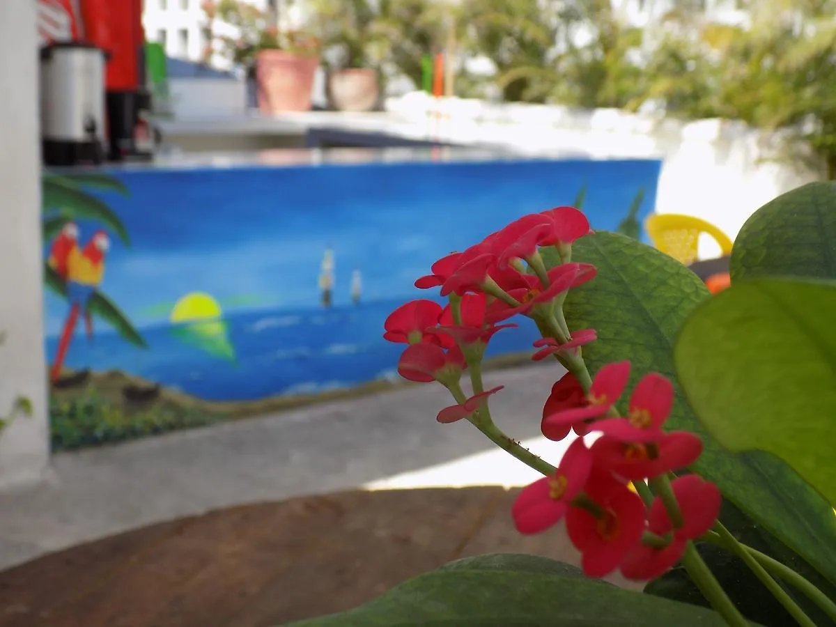 Hostal Caracoles Hostel Cartagena