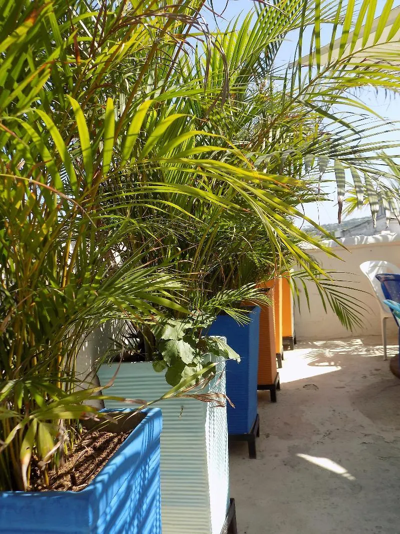 Hostal Caracoles Cartagène Auberge de jeunesse