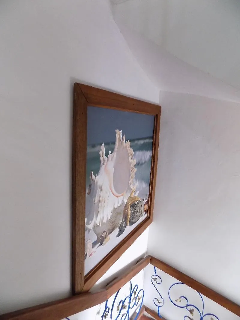 Hostal Caracoles Cartagena Vandrarhem